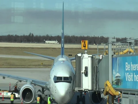 Plane Connecting to Gate 스톡 동영상 82076669