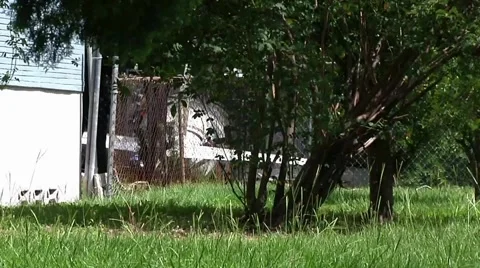 Plane Crash Aftermath CFR#4 Stock Footage 937500