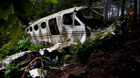 Plane crash in the smokey mountains | Stock Video | Pond5