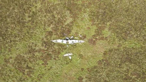 Plane Crash Wreckage Stock Footage 336999955
