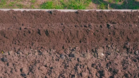A plane cutter makes rows in a vegetable garden bed for planting seeds Stock Footage 310927967