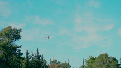 A plane flies above the trees in a blue sky Stock Footage 235682476