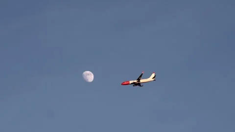 The plane flies against the background of the moon. Air transportation concept Stock Footage 240586010