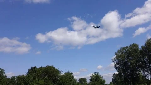 The plane flies in a blue sky Stock Footage 78436204