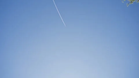 The plane flies in the blue sky Stock Footage 329093909