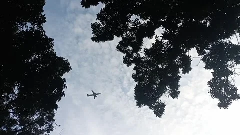 The plane flies in the cloudy sky Stock Footage 282632370