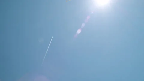 A plane flies in front of a blue sky on a sunny day Stock Footage 131100332