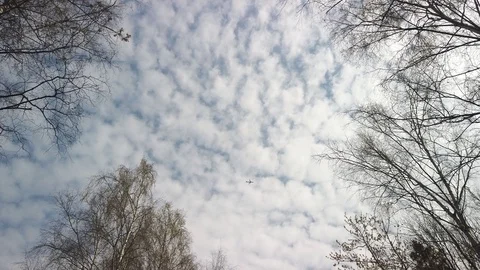 A plane flies high in the sky. Clouds and trees Video stock 129672516