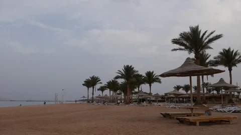 Plane Flies Over an Empty Beach in Egypt. Landing Plane flies over Palm Trees Stock Footage 117094897