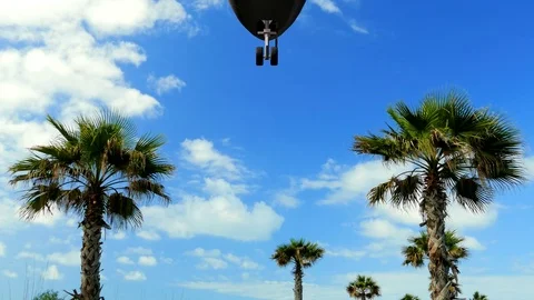The plane flies over the palm trees, travel weekend Stock Footage 70206668