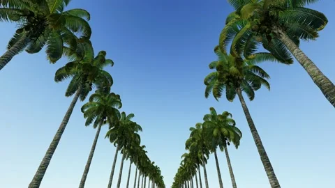 The plane flies over the road in the resort town. 3D animation. Stock Footage 143443380
