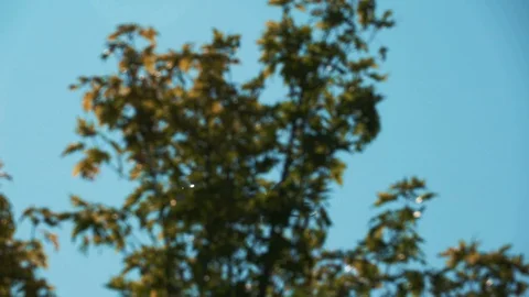 The plane flies in the sky. Stock Footage 115087682