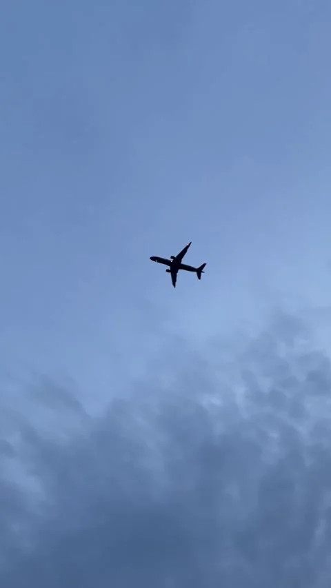 Plane flies in the sky Видео 295461289