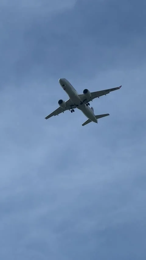 The plane flies in the sky. View from the ground Stock Footage 240242617