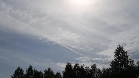 The plane flies through the sky in the clouds high above the trees Stock Footage 119801834