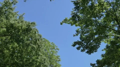 A plane flies through the sky 스톡 동영상 75658265