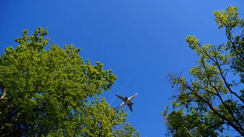 The plane flies through the trees Stock Footage 108234603