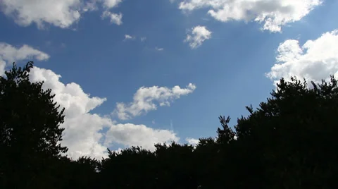 Plane Flight Up and Down Stock Footage 30989334