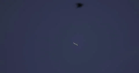 Plane in flight and flying birds, 4K slomo Stock Footage 240617661