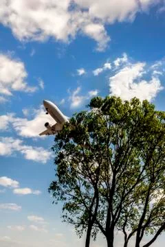 A plane fly over the tree Stock Photos