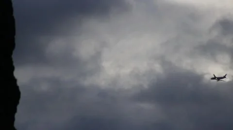 Plane fly by tree on left Stock Footage 47522976