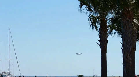 Plane flying behind palm trees and over a pier Stock-Footage 38052007