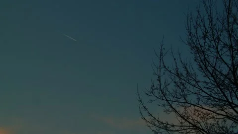 Plane Flying in Distance with Tree in Foreground at Dusk Video stock 229713769