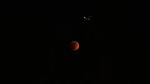 Plane flying in front of Super Blood Moon Stock Footage 199703149