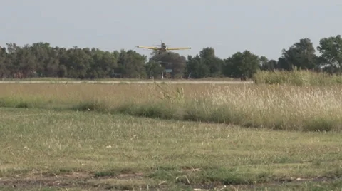 Plane Flying Low Video stock 36578200