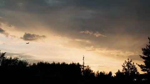 Plane flying low view from the ground Stock Footage 284156282