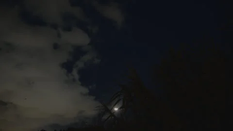 A plane flying at night Stock Footage 270071627