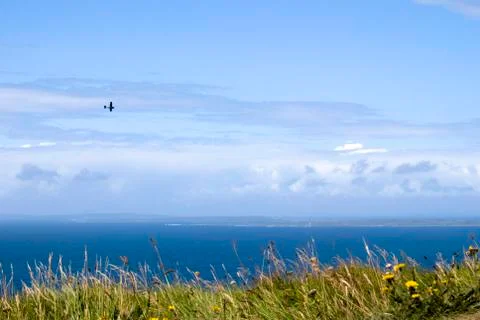 Plane flying over the Cliffs of Moher Stock Photos