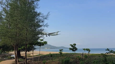 Plane is flying over the ocean Stock Footage 305059958