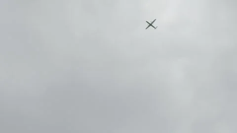 Plane flying over palm tree in Santa Cruz Palmetum Stock Footage 279851778