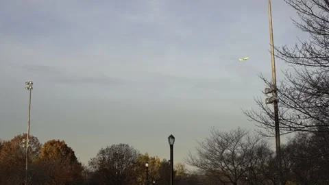 Plane flying over park in New York City. Slow motion view of airplane Stock Footage 176103528