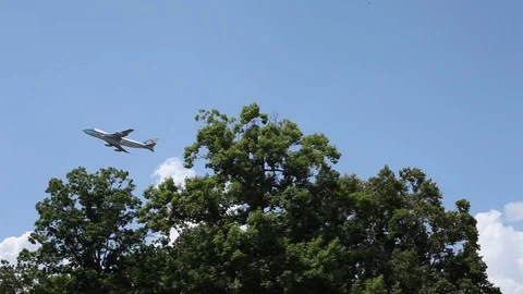 Plane flying over the tree Stock Footage 93259203