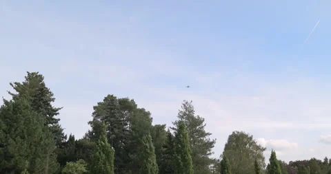 Plane flying in partly cloudy blue sky over crowns of green trees Stock Footage 252663726