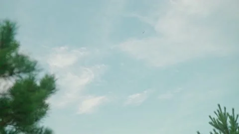 A plane flying in the sky against the background of trees 스톡 동영상 180517713
