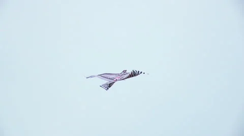 Plane flying in the sky Stock Footage 66781399