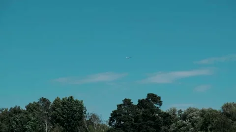 Plane is flying in the sky on a green clear summer day Stock Footage 135860143