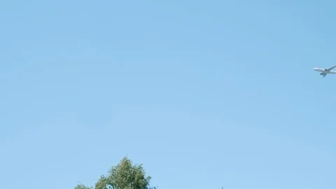 Plane is flying in sky relieving altitude before landing. Bottom view. Video stock 118895055