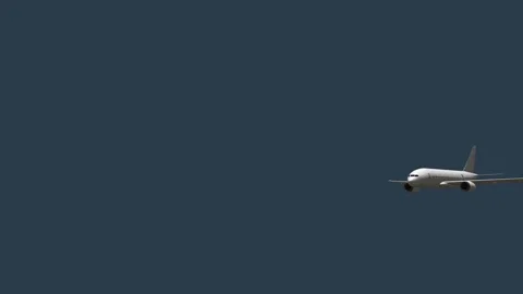 Plane flying on sky video Stock Footage 307821194