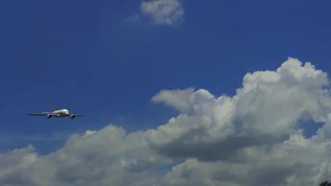 Plane flying on sky video Stock Footage 307821257