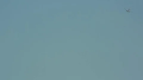 Plane flying in sky, wide shot Video stock 78772580