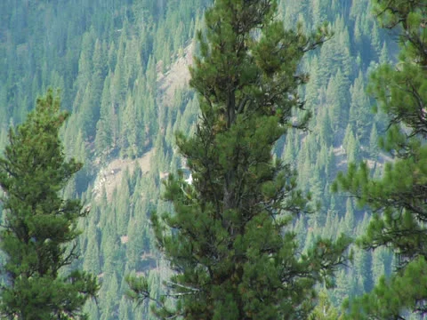 Plane flying through Rocky Mountains 02 Stock Footage 24653630