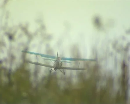 Plane Stock Footage 11406094