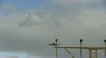 plane HD Footage