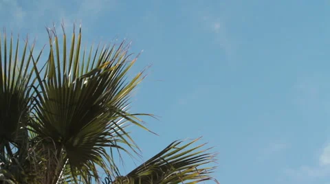 Plane Video stock 46809209