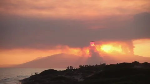 Plane in a forest fire in sierra bermeja malaga Stock Footage 160897236