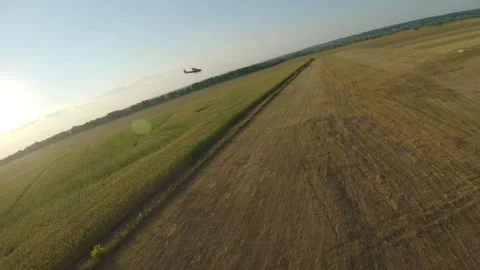 Plane gliding smoothly over expansive golden fields, capturing the essence Stock Footage 319746372